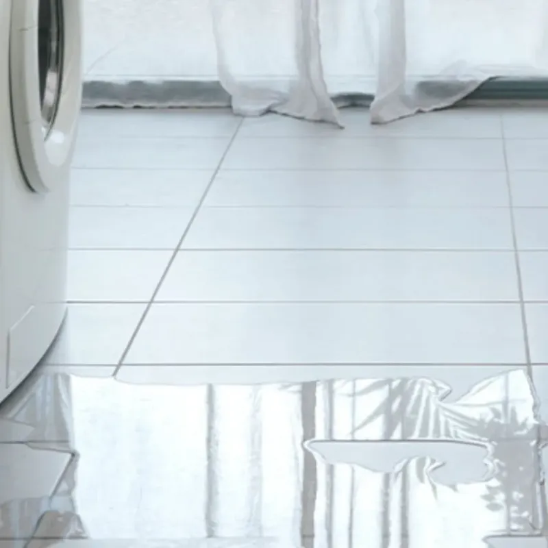 Appliance Leak Cleanup in Sheridan, AR